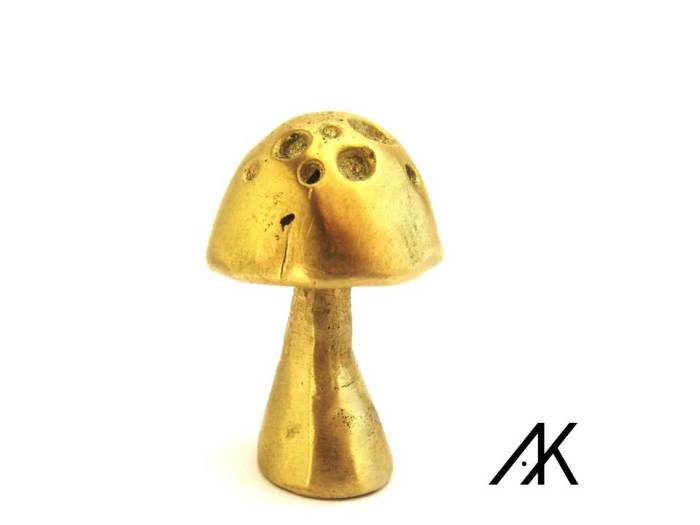 Bronze forest mushroom.